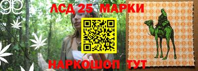 ГАЛЛЮЦИНОГЕННЫЕ ГРИБЫ Кунгур