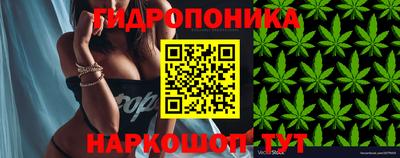 ГАЛЛЮЦИНОГЕННЫЕ ГРИБЫ Кунгур