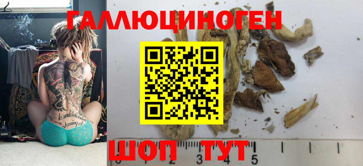 Псилоцибиновые грибы Psilocybe  Псилоцибиновые грибы Magic Shrooms  Дербент  Вход с VPN 