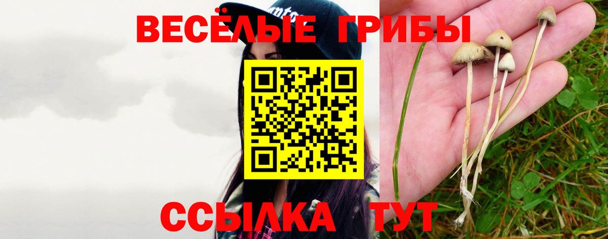 Галлюциногенные грибы мицелий Дербент